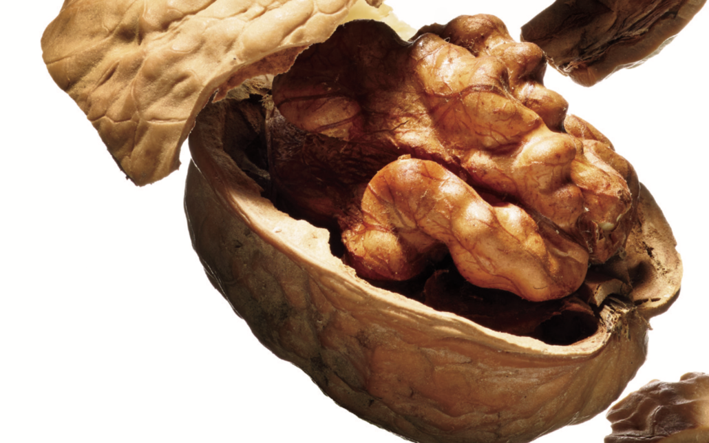 Les noix font partie des fruits à coques ayant la meilleure teneur en protéines végétales. © DR