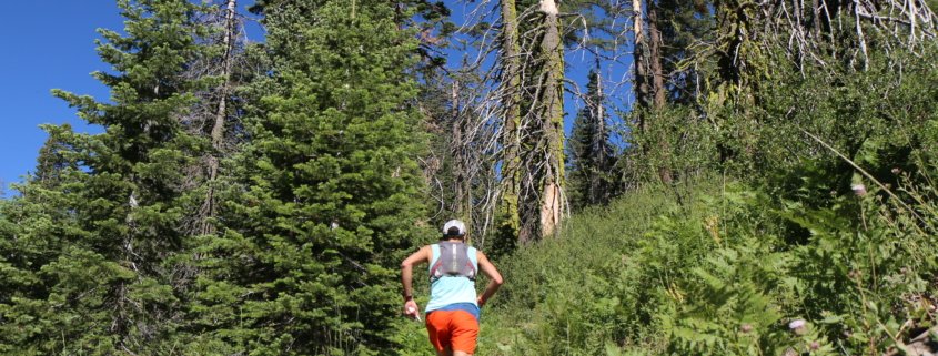 TARN VALLEY TRAIL RUN