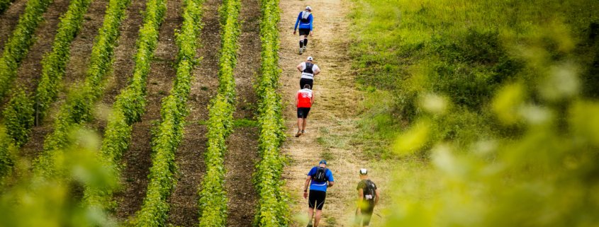 Trail de Sancerre 1 © Nicole Gevrey