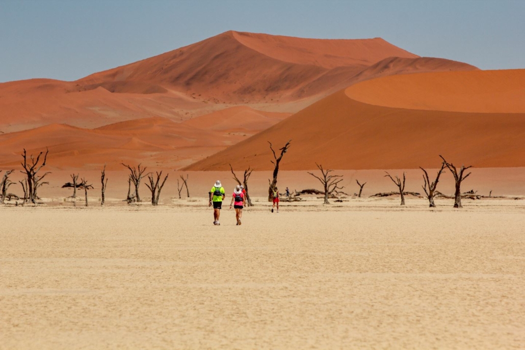 Namib Race : Photo Organisation
