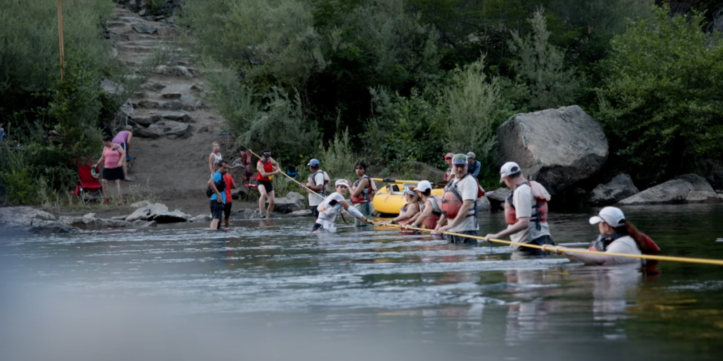 Roller Coaster camille bruyas