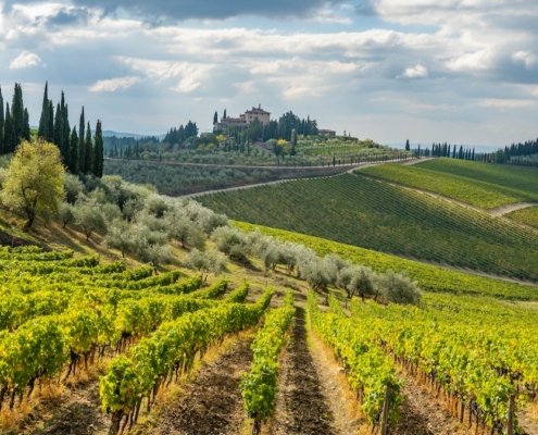 Chianti Ultra Trail Photo Rich Martello