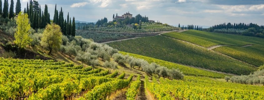 Chianti Ultra Trail Photo Rich Martello
