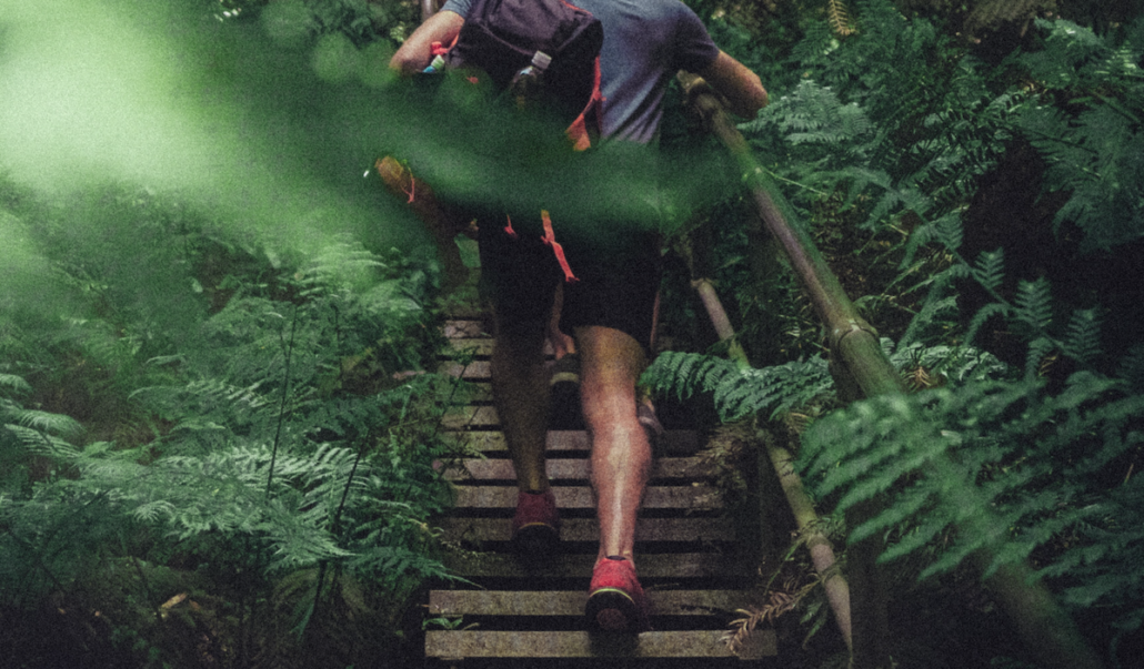 Marche active- Photo Christopher Burns