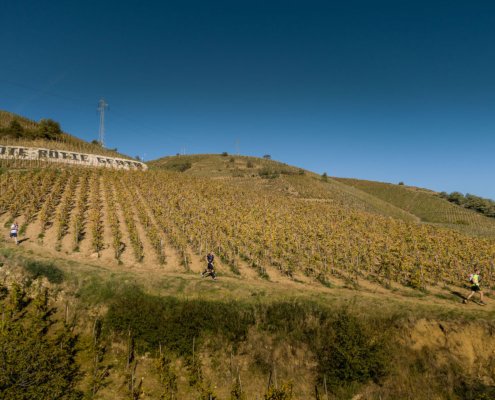 cote rotie 2 Photo AirDroneSolution