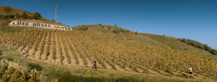 cote rotie 2 Photo AirDroneSolution