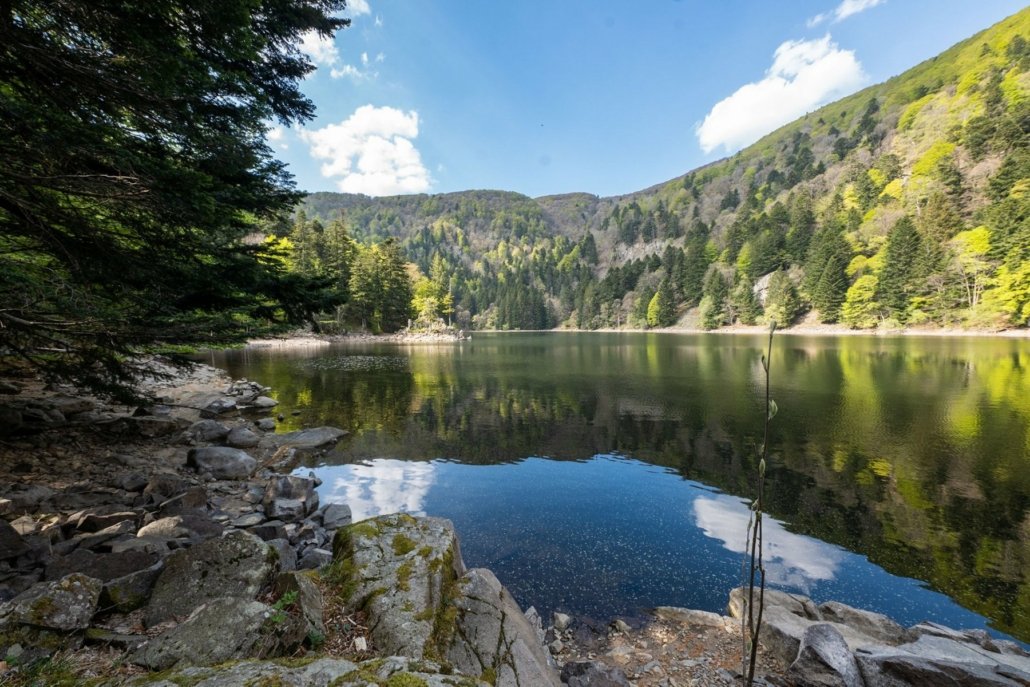 lac de l’Altenweiher