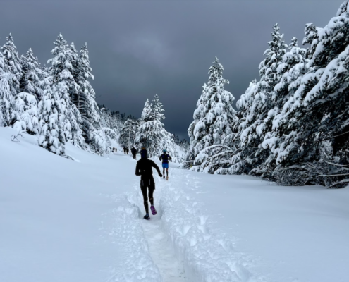 TRail du Ventoux
