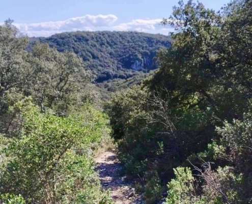 Saint Lau-Run Ventoux