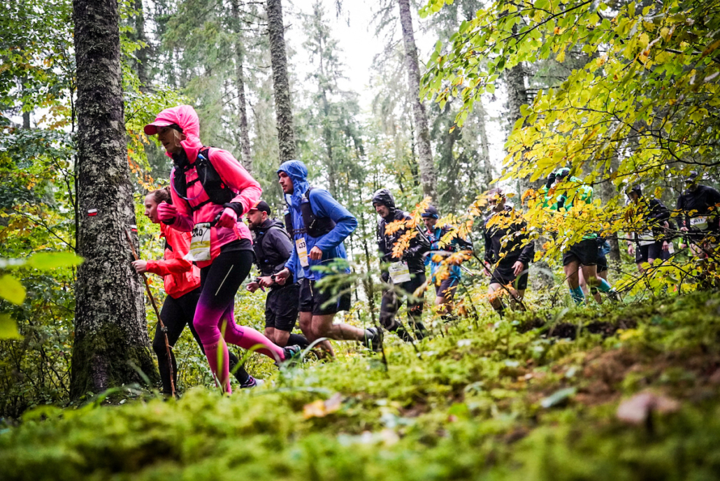 Adaptation Course Lynx Photo UTMJ 2022 Ben Becker