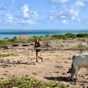 Trail de Rodrigues 2025 : Sissi Cussot brille, Ludovic Pommeret en mode survie