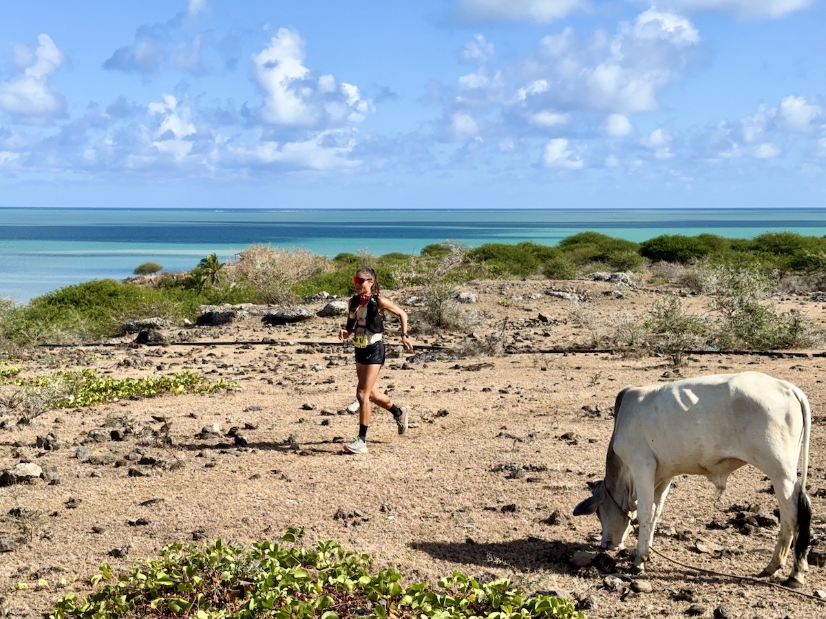 Trail de Rodrigues 2025-S. Cussot paysages sauvages sur fond de lagon
