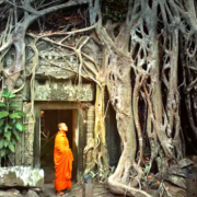 Christian Biard au cœur de Angkor Trail